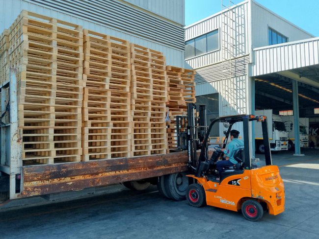 **พาเลทไม้ตัวสุดท้าย: เมื่อความสำเร็จมีราคาที่ต้องจ่ายด้วย...ชีวิต**